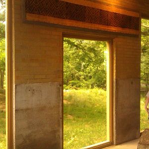 inside building looking out towards african wild dog exhibit
