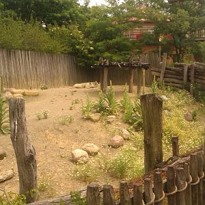 Warthog Exhibit