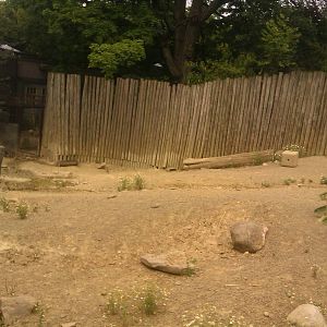 Warthog Exhibit