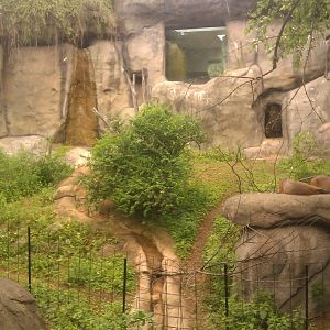 Capybara Exhibit