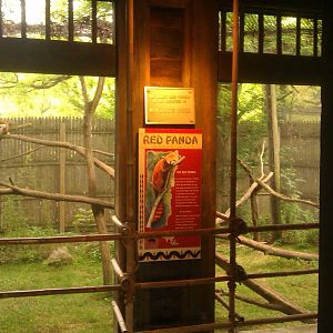Red Panda Exhibit