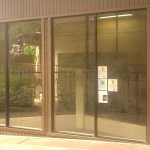 Reticulated  Giraffe Barn