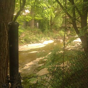 Mill Creek running through the zoo