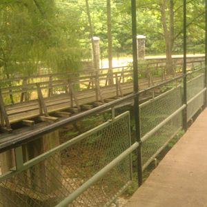 Train Track that goes through the zoo