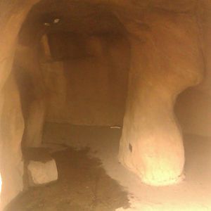 Cave in Children's zoo area