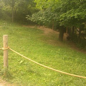 Grey Kangaroo/Bennett's Wallaby Exhibit
