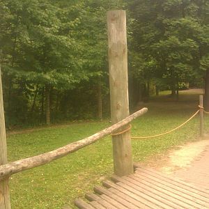 Grey Kangaroo/Bennett's Wallaby Exhibit