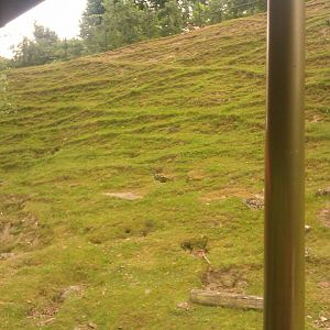 Mouflon Hill exhibit