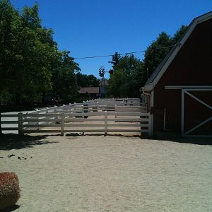 The Zoos Barn- June 2012