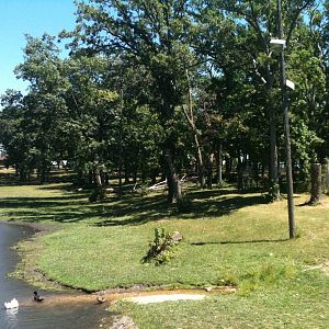 Elk Exhibit- June 2012