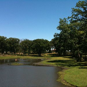 Elk Exhibit- June 2012