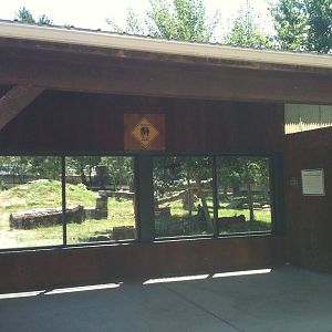 Gray Wolf Glass Viewing. June 2012.
