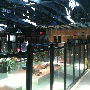 Reptile House. June 2012