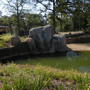 elephant yard/pool