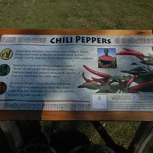 Chili Pepper sign