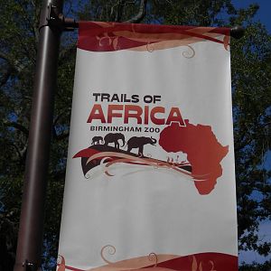Trails of Africa banner