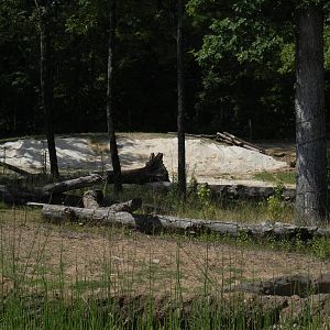 Sand dune in elephant yard