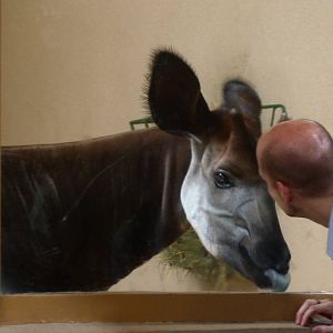 A Moment (African Journey) 6-20-12