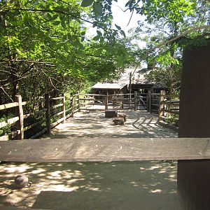Jun. 2012-Llama exhibit