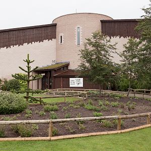 Spirit of the Jaguar - 26/06/2012