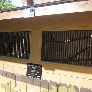 Jun. 2012-Steller's Sea Eagle Show Holding