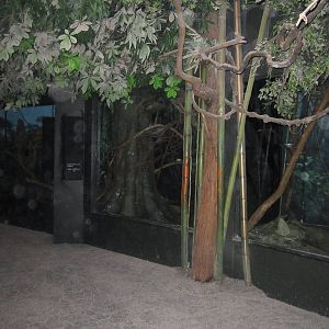 Jun. 2012-Asian Animal Nocturnal Exhibits