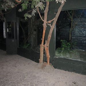 Jun. 2012-African Animal Nocturnal Exhibits