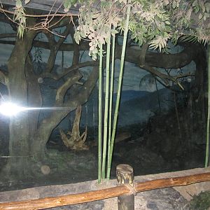 Jun. 2012-Aye-aye/Grey Bamboo Lemur/Potto exhibit