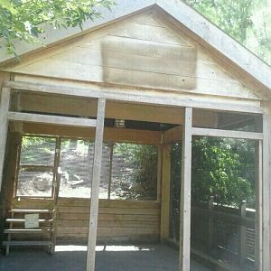 Jun. 2012-Red-tailed Hawk Aviary Shelter
