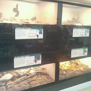 Jun. 2012-Snake exhibits