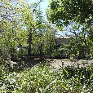 Bronx Zoo- Astor Court- Work Being Done at the Former Elephant Exhibit