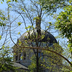 Bronx Zoo- Astor Court- Work Being Done at the Former Elephant Exhibit 3