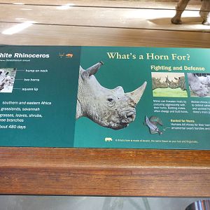 Bronx Zoo- Zoo Center- White Rhinoceros Exhibit Signage