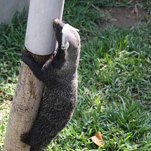 Parque Zoologico Huachipa 2012