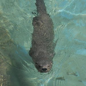 Parque Zoologico Huachipa 2012