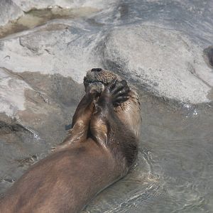 Parque Zoologico Huachipa 2012