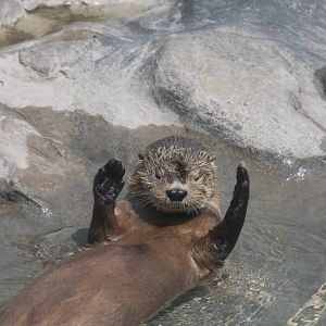 Parque Zoologico Huachipa 2012