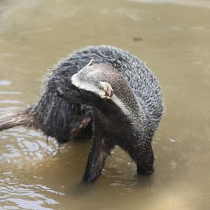 Parque Zoologico Huachipa 2012