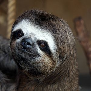 Parque Zoologico Huachipa 2012