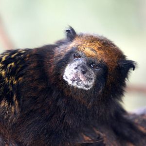 Parque Zoologico Huachipa 2012