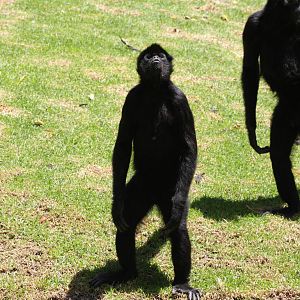 Parque Jaime Duque 2012