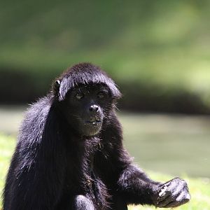 Parque Jaime Duque 2012