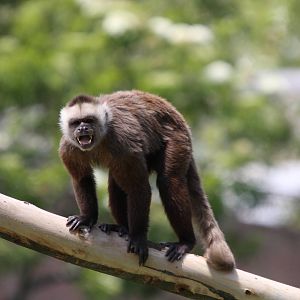 Parque Jaime Duque 2012