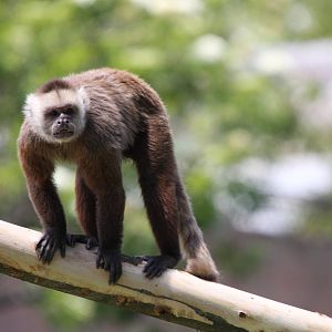 Parque Jaime Duque 2012