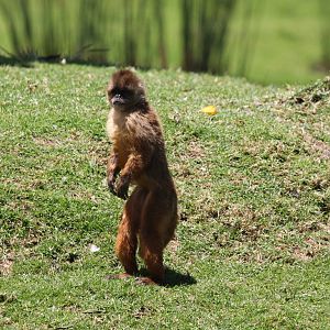 Parque Jaime Duque 2012
