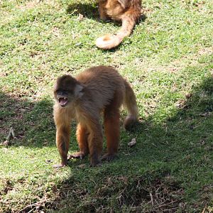 Parque Jaime Duque 2012