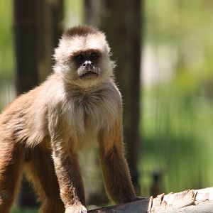 Parque Jaime Duque 2012