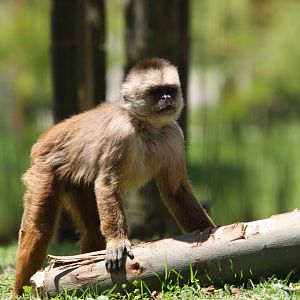 Parque Jaime Duque 2012