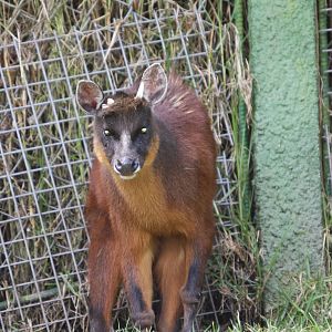 Parque Jaime Duque 2012