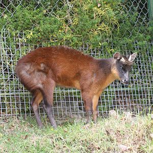 Parque Jaime Duque 2012